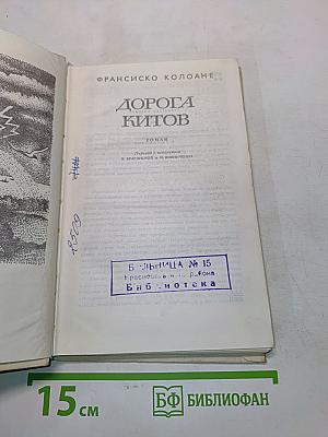Дорога китов