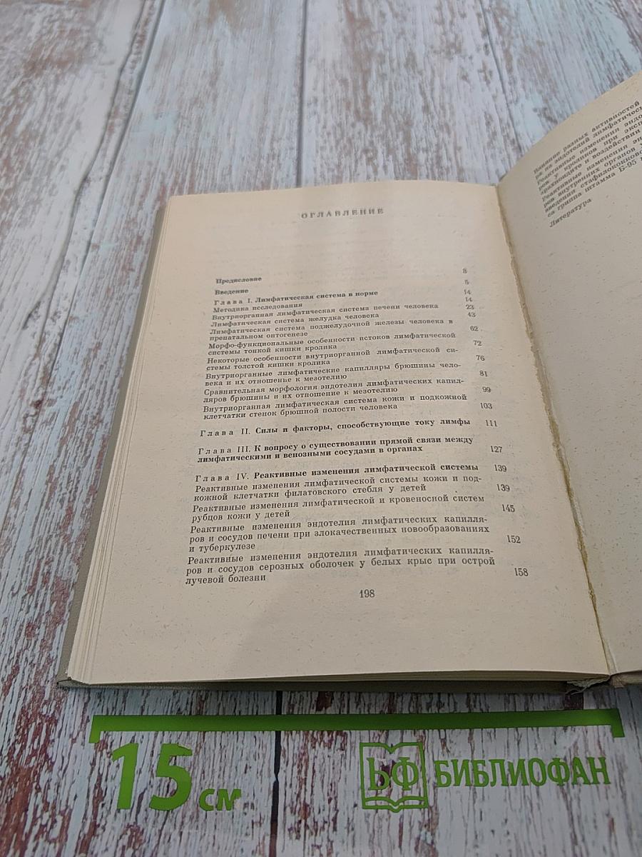 Лимфатическая система в норме и патологии