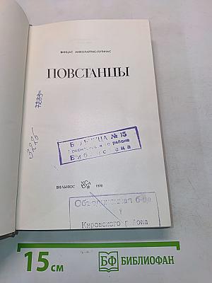 Повстанцы