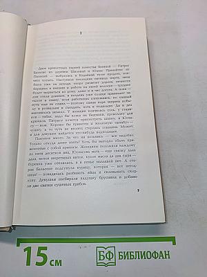 Повстанцы