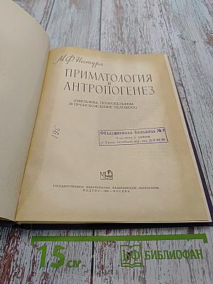 Приматология и антропогенез