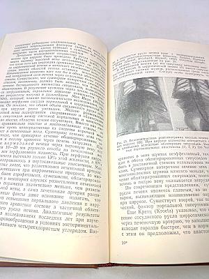 Очерки клинической физиологии кровообращения