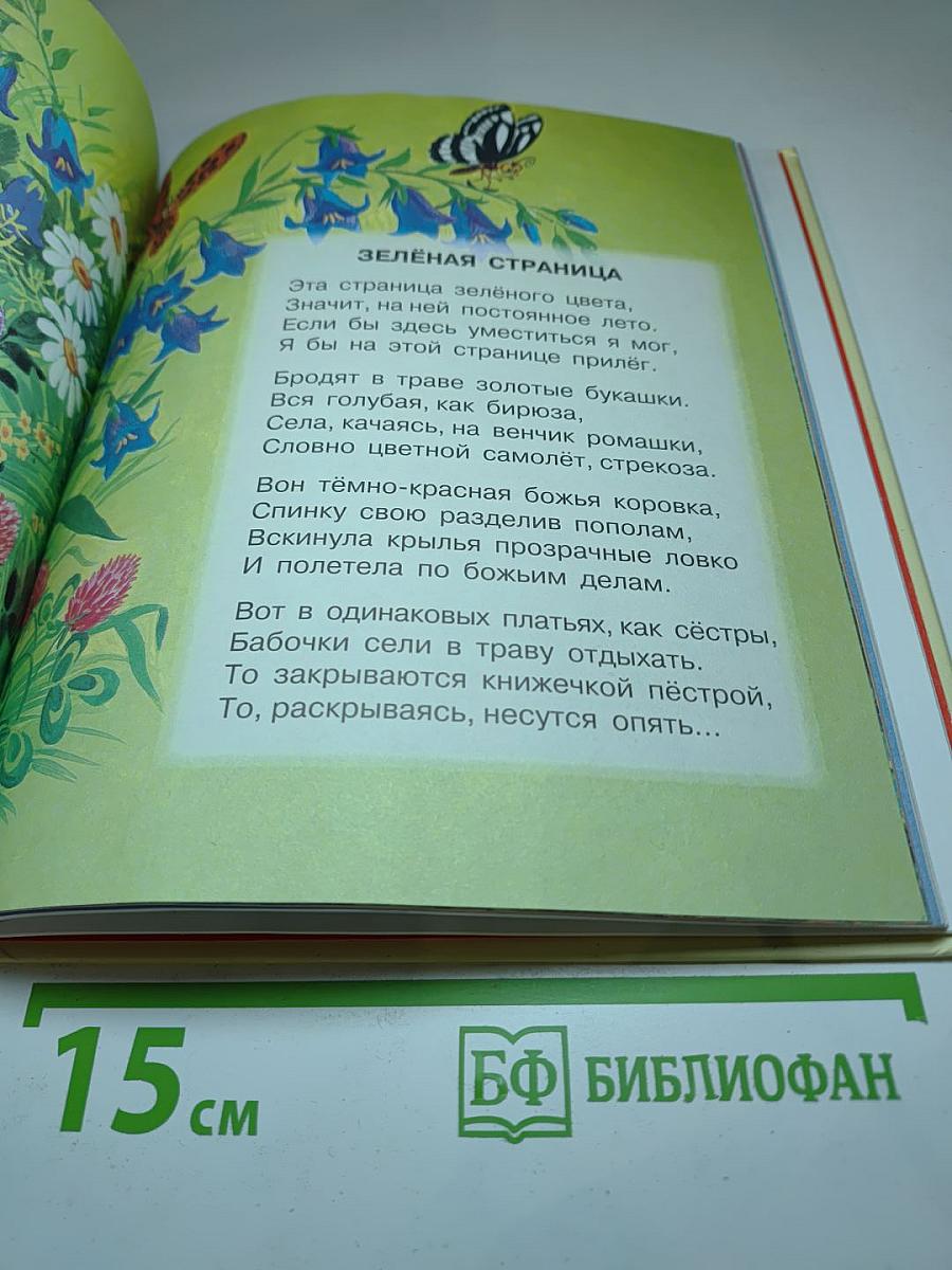 Разноцветная книга