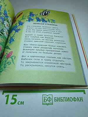 Разноцветная книга