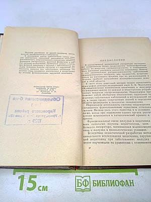 Функциональные взаимосвязи кишечника и желудка