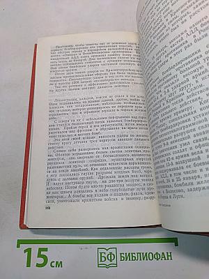 В небе – гвардейский Гатчинский