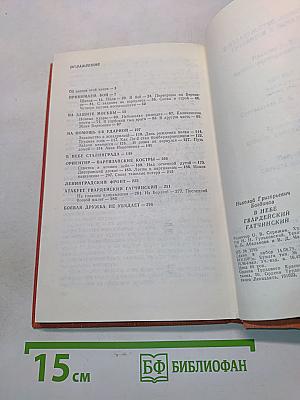 В небе – гвардейский Гатчинский