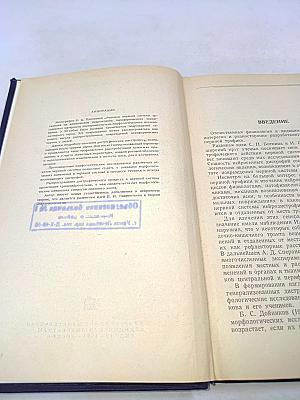 Реакция нервной системы организма на хроническое повреждение периферического нерва