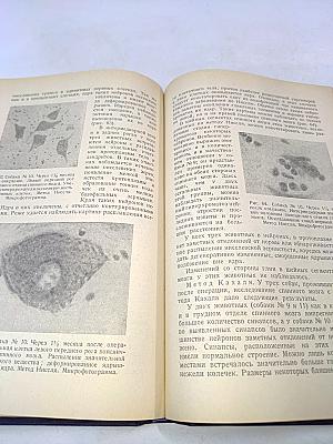 Реакция нервной системы организма на хроническое повреждение периферического нерва