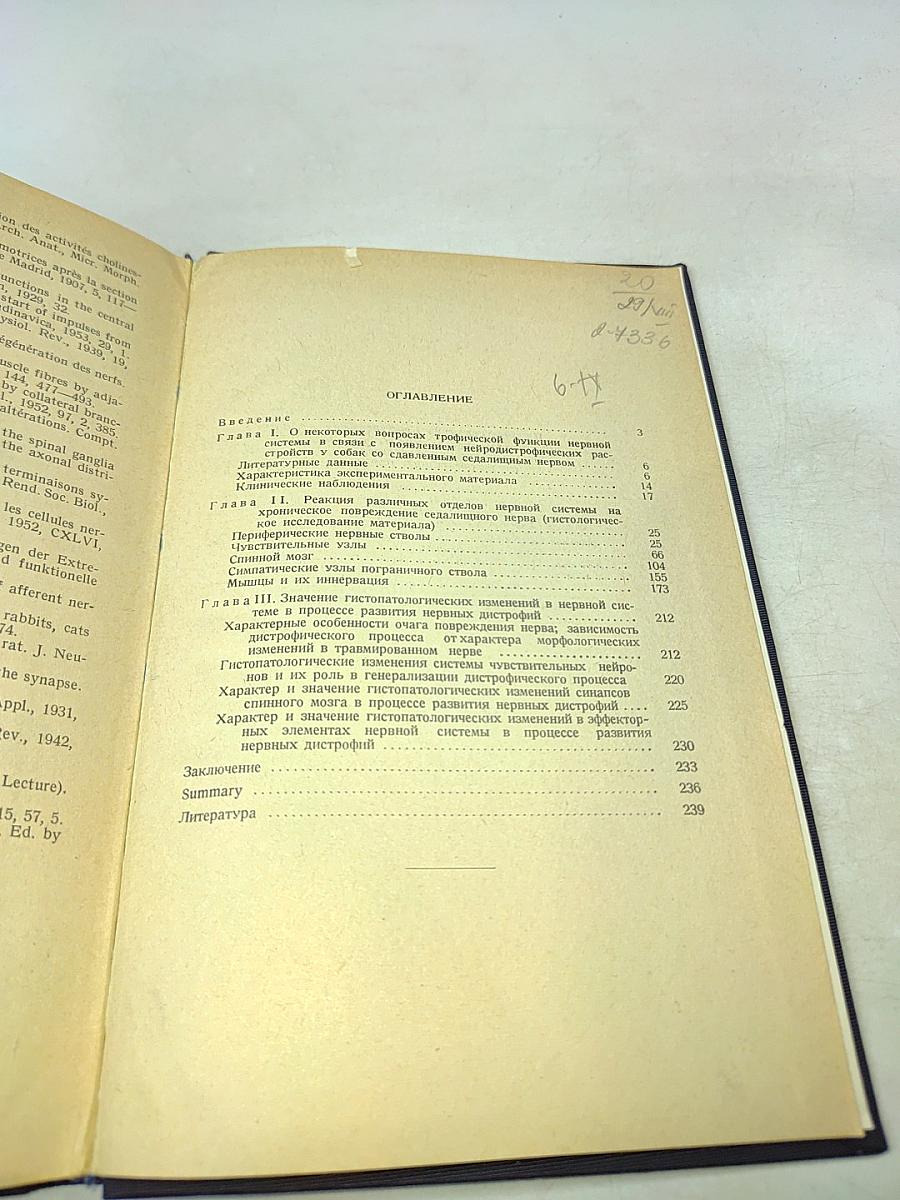 Реакция нервной системы организма на хроническое повреждение периферического нерва