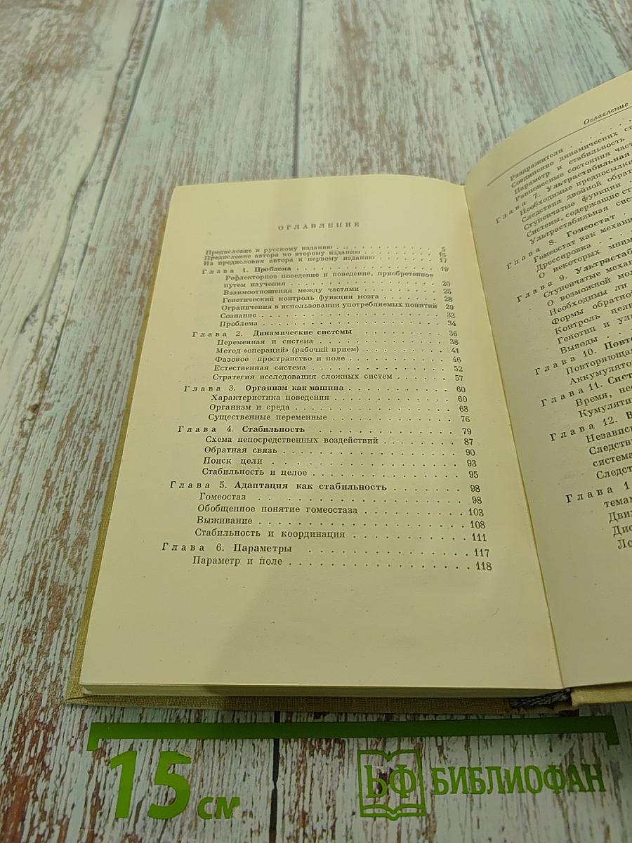 Конструкция мозга