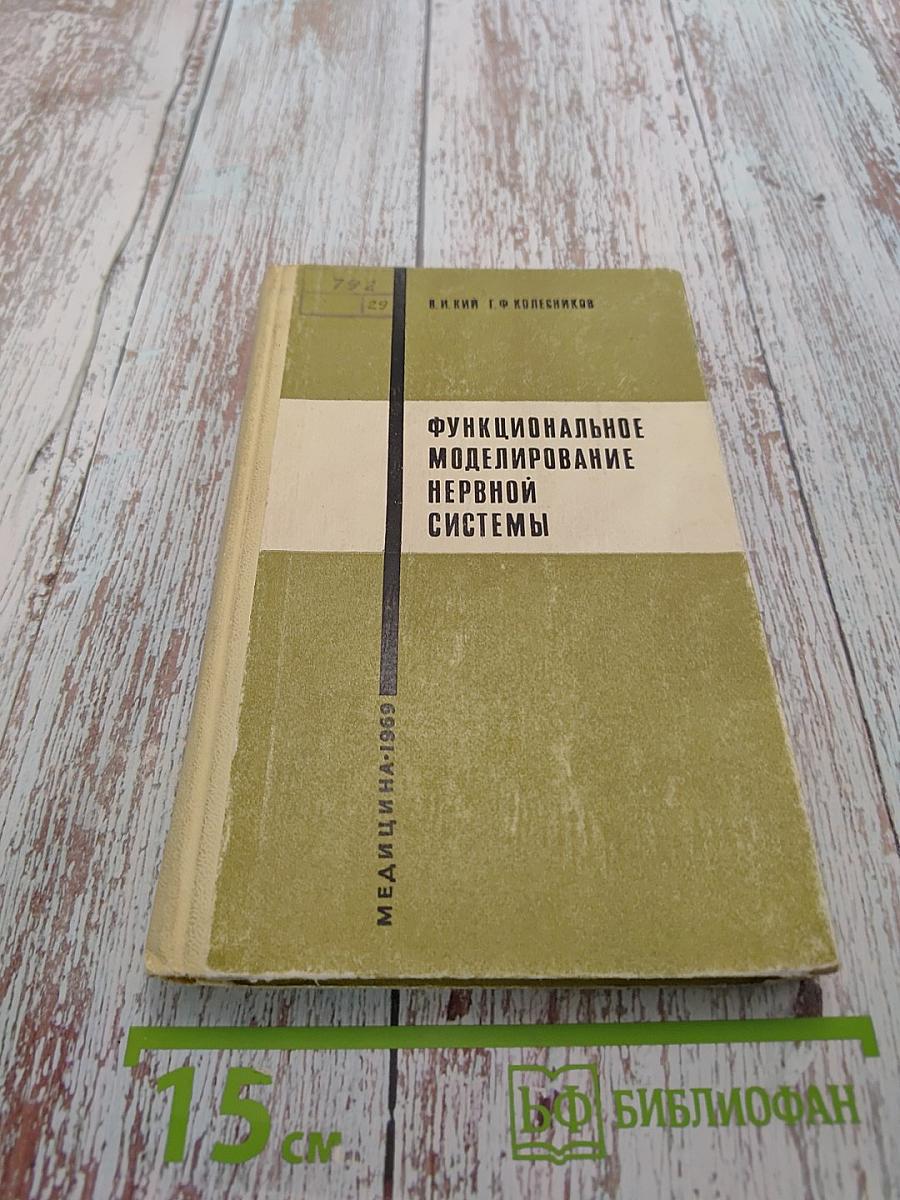 Функциональное моделирование нервной системы