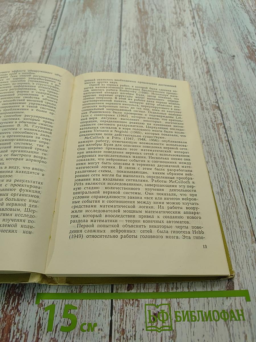 Функциональное моделирование нервной системы