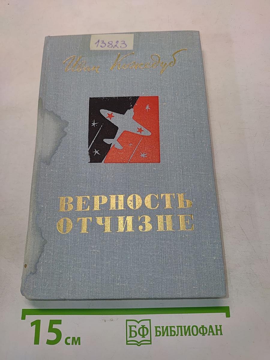 Верность Отчизне. Рассказы летчика-истребителя