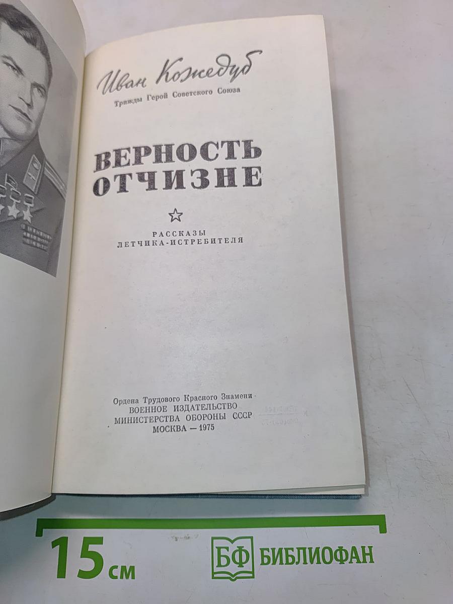 Верность Отчизне. Рассказы летчика-истребителя