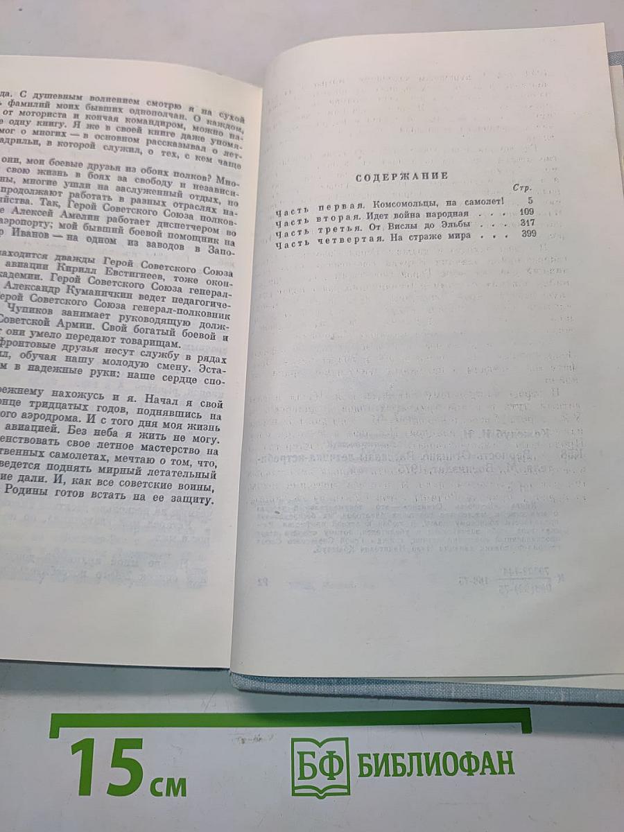 Верность Отчизне. Рассказы летчика-истребителя