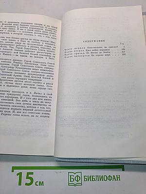 Верность Отчизне. Рассказы летчика-истребителя