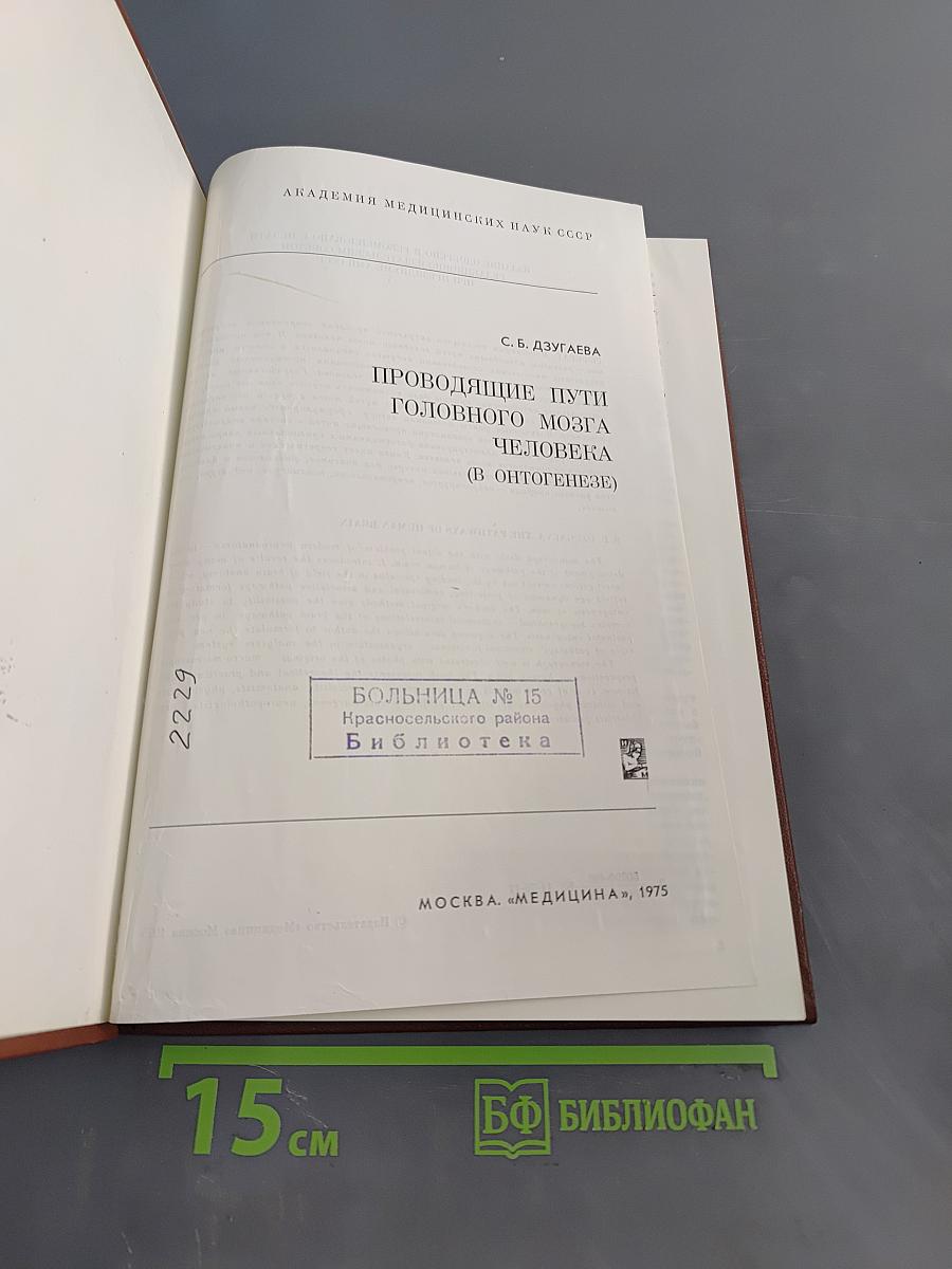 Проводящие пути головного мозга человека (в онтогенезе)
