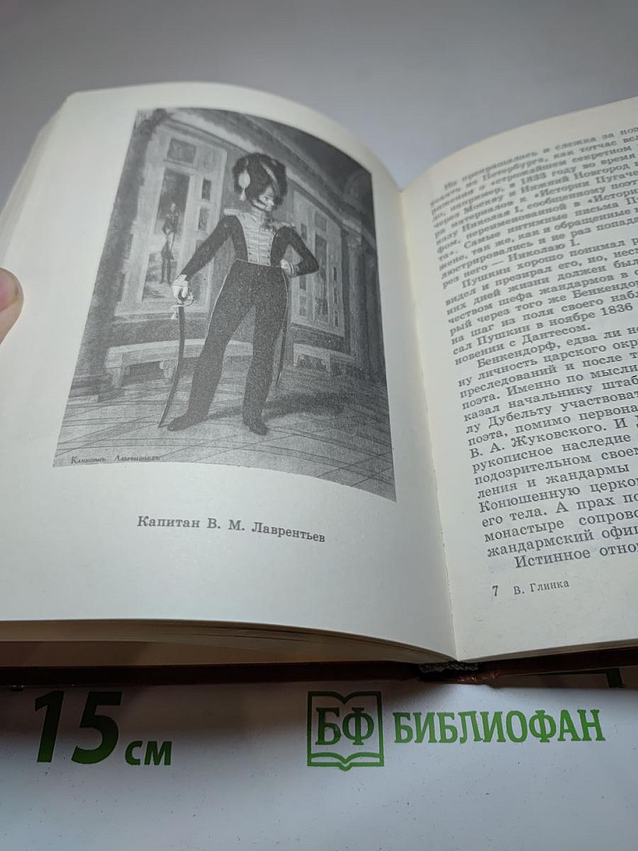 Пушкин и Военная галерея Зимнего дворца
