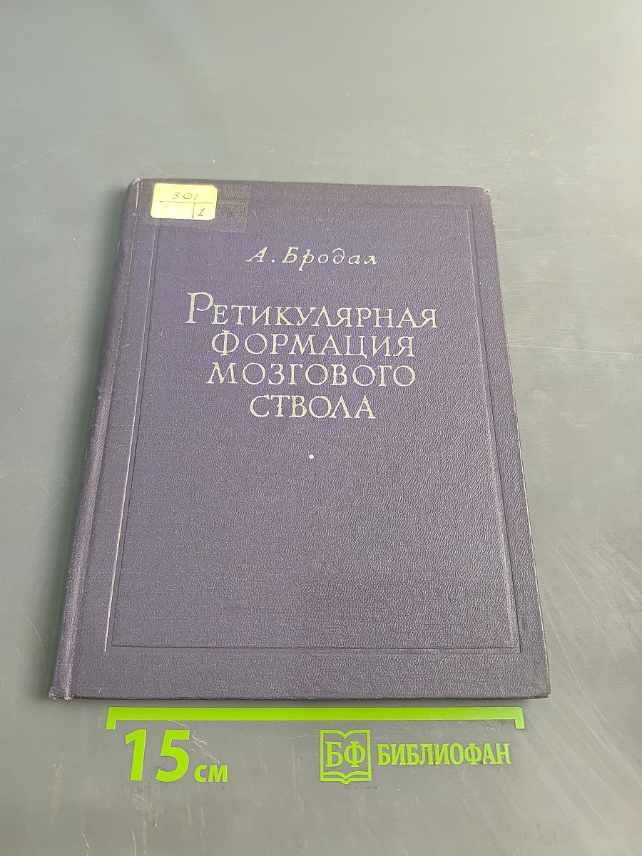 Ретикулярная формация мозгового ствола