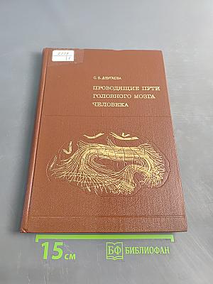 Проводящие пути головного мозга человека (В онтогенезе)