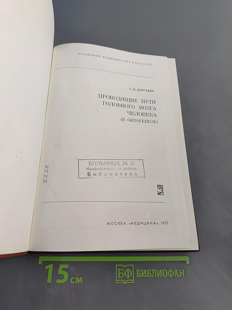 Проводящие пути головного мозга человека (В онтогенезе)