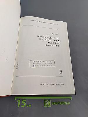 Проводящие пути головного мозга человека (В онтогенезе)