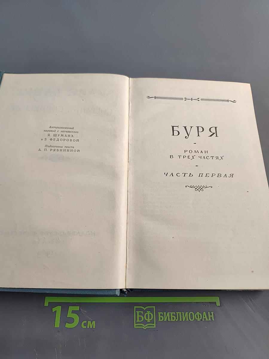 Собрание сочинений. Том пятый. Буря. Часть первая