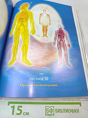 Заочное лечение. Книга вторая