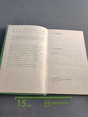 Спутники