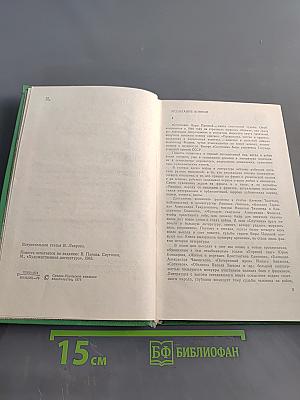Спутники