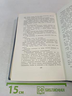 Собрание сочинений. Том шестой. На грани веков