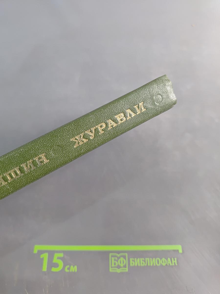 Журавли. Книга прозы