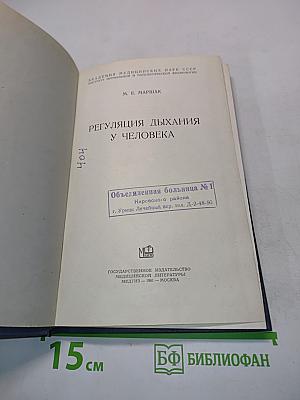 Регуляция дыхания у человека