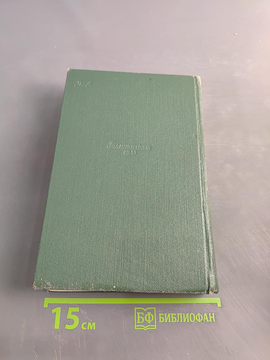 Собрание сочинений. Том пятый. Рассказы 1887