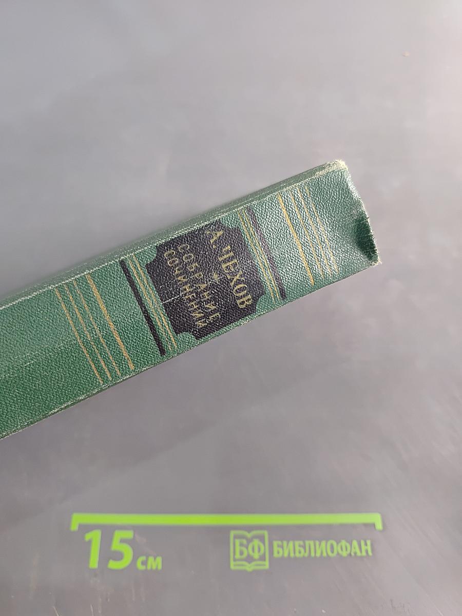 Собрание сочинений. Том пятый. Рассказы 1887