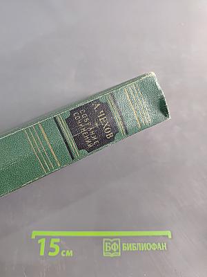 Собрание сочинений. Том пятый. Рассказы 1887
