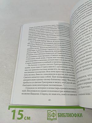 Монах Моисей. Блаженный старец Георгий Карслдиис