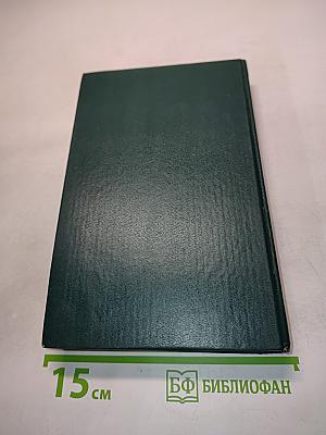 Чёрная стрела