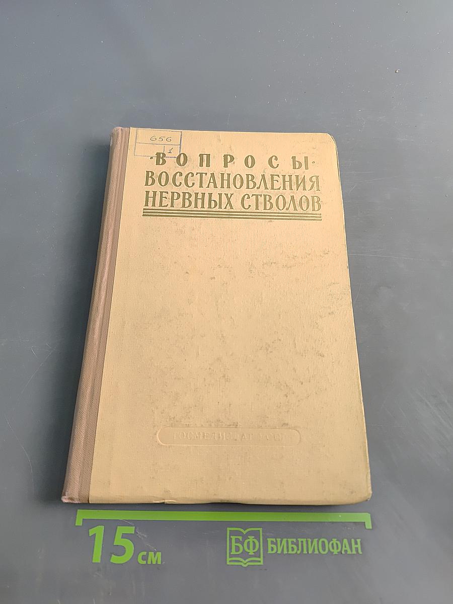 Вопросы восстановления нервных стволов