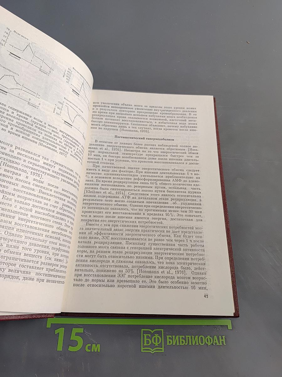Современные проблемы реаниматологии