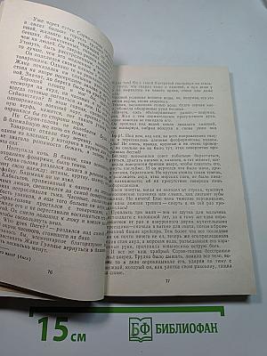 Капитан Сорви-голова