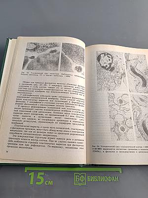Кожные и венерические болезни. Руководство для врачей. Том 4