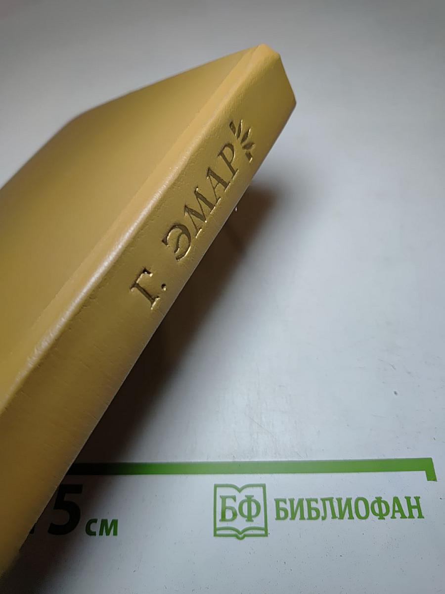 Маисовый колос. Розас