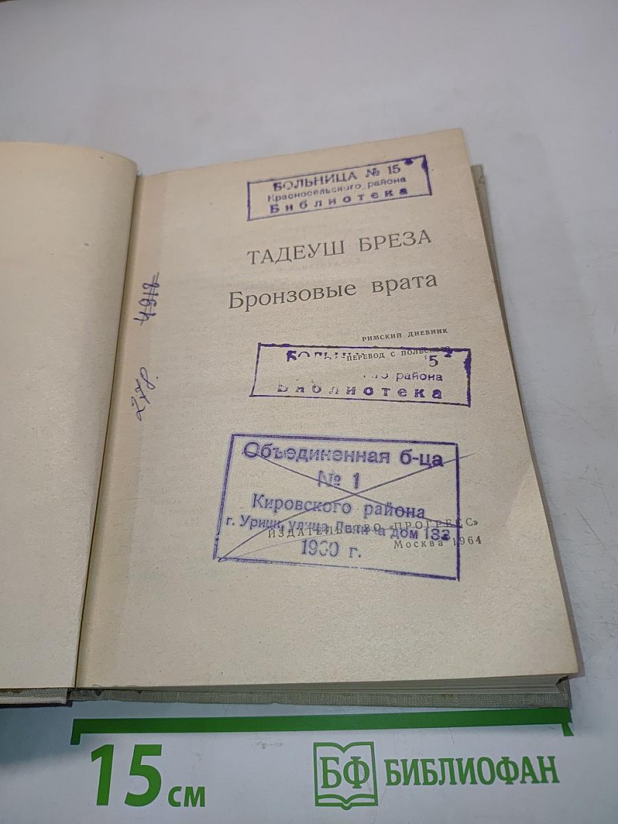 Бронзовые врата