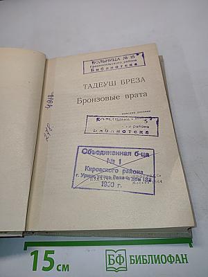 Бронзовые врата