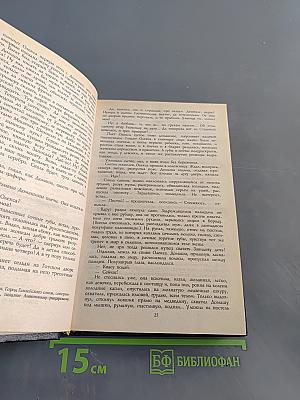 Господин Великий Новгород. Марфа-посадница