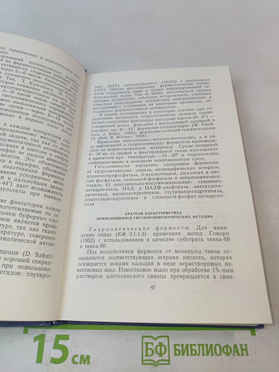 Энзимы артерий и атеросклероз