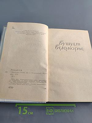 Беломорье. Книга вторая