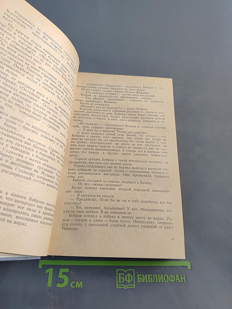 Беломорье. Книга вторая